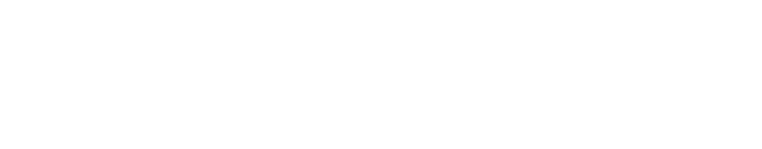 tdlogo_white